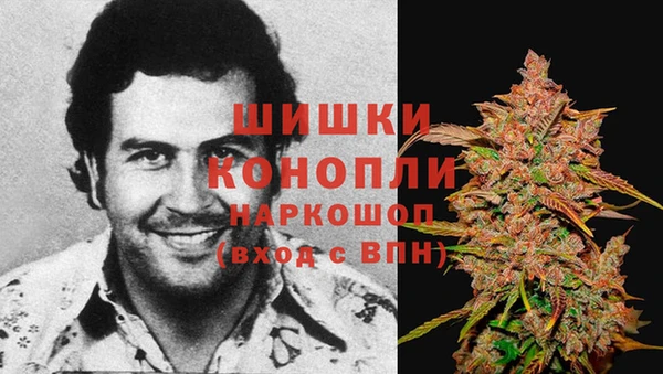 ПСИЛОЦИБИНОВЫЕ ГРИБЫ Алексин