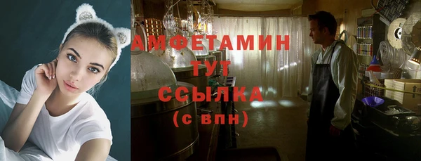 индика Алексеевка