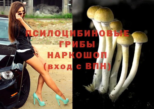 ПСИЛОЦИБИНОВЫЕ ГРИБЫ Алексин