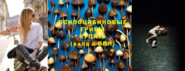 ПСИЛОЦИБИНОВЫЕ ГРИБЫ Алексин