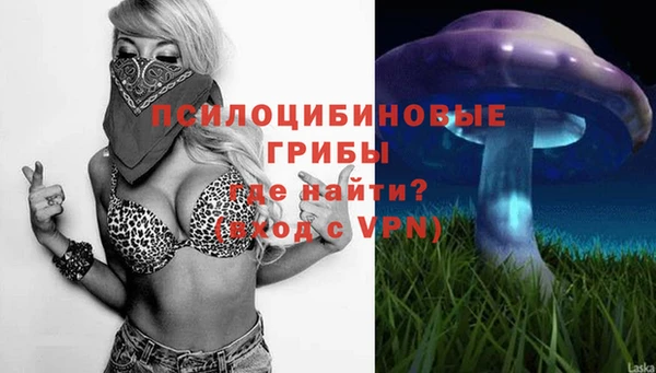 ПСИЛОЦИБИНОВЫЕ ГРИБЫ Алексин