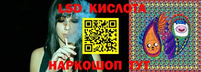 jwh Гатчина