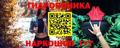 jwh Гатчина